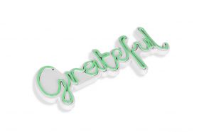 Decoratiune luminoasa LED, Grateful, Benzi flexibile de neon, DC 12 V, Verde