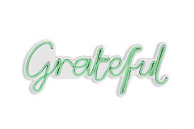 Decoratiune luminoasa LED, Grateful, Benzi flexibile de neon, DC 12 V, Verde