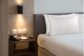 Perna Green Future Hotel Line 50x70 cm