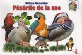 Pasarile de la zoo - Silvia Ursache