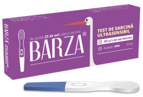 BARZA TEST SARCINA STILOU