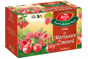 Ceai cu merisoare si zmeura Aromfruct, 20 plicuri, Fares