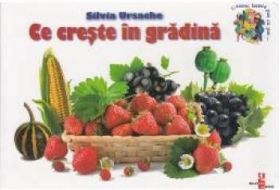 Ce creste in gradina - Silvia Ursache