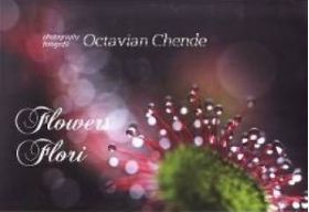 Flowers. Flori- Octavian Chende