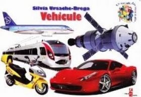 Vehicule - Silvia Ursache-Brega