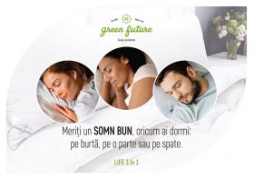 Perna Life 3 in 1, umplutura Nanofibra si fulgi Memory, 50x70 cm