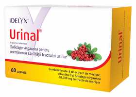IDELYN URINAL 60 CAPSULE