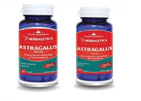 Astragalus, 500mg, 60cps si 30cps - Herbagetica 60 capsule