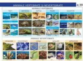 Plansa Animale vertebrate si nevertebrate - Florica Alexandrescu