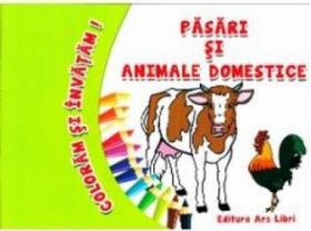 Pasari si animale domestice - Coloram si invatam