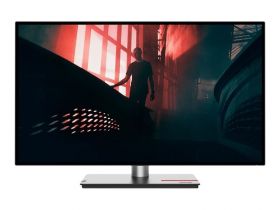 lenovo LENOVO ThinkVision P27h-30 27inch 2560x1440 IPS 16:9 350cd/m2 HDMI DP USB Hub (63A1GAT1EU)