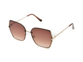 Ochelari de soare ALDO maro, 13542466, din pvc