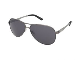 Ochelari de soare Alpina A 107 Titanium Matt/Black Mirror