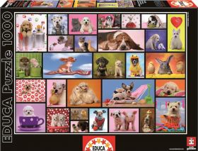 Puzzle 1000 piese - Shared Moments | Educa