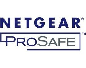 Netgear NETGEAR GSM7328FL-10000S IPV6 SOFT LICENSE GSM7328FS (GSM7328FL-10000S)