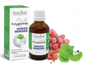 Polygemma 24 ginkgo memorie, 50ml - Plantextrakt