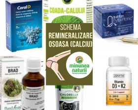 Schema de remineralizare osoasa (Calciu)