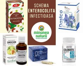 Schema tratament natural ENTEROCOLITA infectioasa