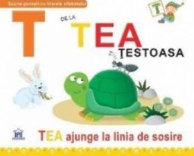 T de la Tea necartonat