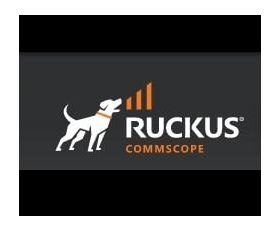 Ruckus Brocade ICX 7650 LAYER 3 PREMIUM LICENSE Actualizare 1 licență(e) Licență (ICX7650-PREM-LIC)