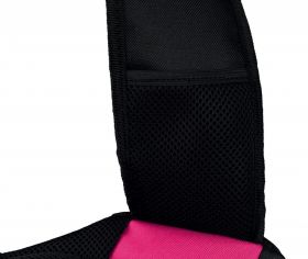 Geantă Transport Sling 50 x 25 x 18 cm, pana la 5kg, Pink 28956