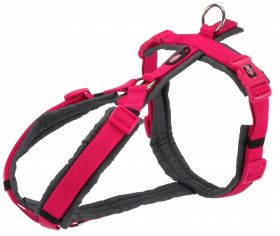 Ham Premium, S-M: 44-53 cm/20 mm, Fuchsia/Grafit, 1997111