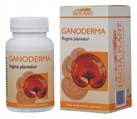 Ganoderma Lucidum 405mg 60cp - Dacia Plant