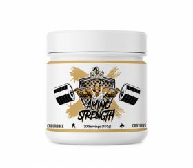 Hammer Labz Amino Streght 405g