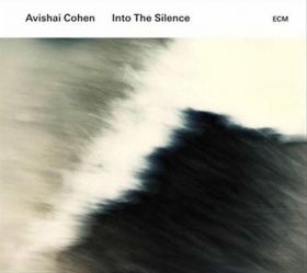 Into The Silence | Avishai Cohen