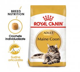 Royal Canin Maine Coon Adult hrană uscată pisică, 10kg