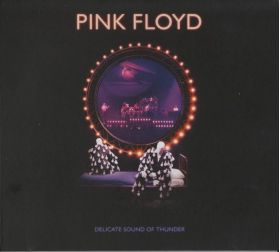 Delicate Sound Of Thunder | Pink Floyd