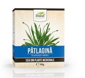 Ceai De Patlagina 50g - DOREL PLANT