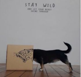 Carte postala - Wild Dog | Chic mic