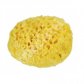 Burete natural de mare Honeycomb Spugnificio Bellini nr.12, 1 bucata, Dr. Brown's