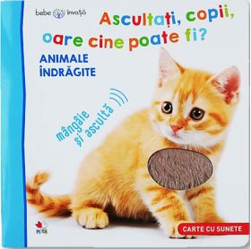 Bebe invata. Ascultati, copii, oare cine poate fi? - Animale indragite |