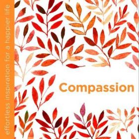 Compassion | Dani Dipirro