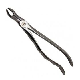 Cleste 67A Prima - Al treilea molar superior