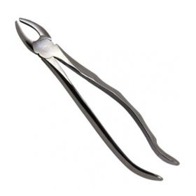 Cleste 7 Prima - Premolar superior