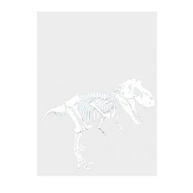 Sticker decorativ, Schelet T-REX, Alb, 45x38 cm