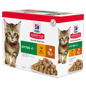 12 x 85g Hill's Science Plan Kitten - Selecție de pasăre