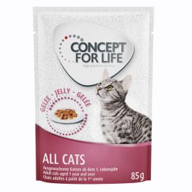 12x85g Concept for Life All Cats în gelatină