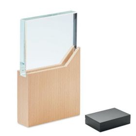Trofeu din sticla, Piksel, cu suport din lemn de fag, 20X12 cm
