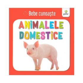 Animalele domestice - bebe cunoaste, editura Gama