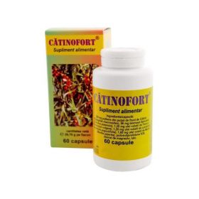 SHORT LIFE - Catinofort Hofigal, 60 capsule