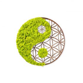 Decoratiune de perete, Yin Yang, 100% MDF/MOSS (grosime: 9 mm), Dimensiune: 44 x 1 x 44 cm, Verde/Maro