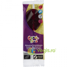 Acadea cu Coacaze Negre Fara Gluten Ecologica/Bio 13g