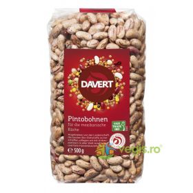 Fasole Mexicana Pinto Ecologica/Bio 500g