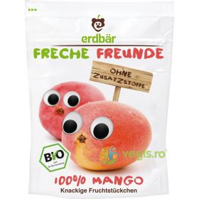 Mango Crocant Ecologic/Bio 14g