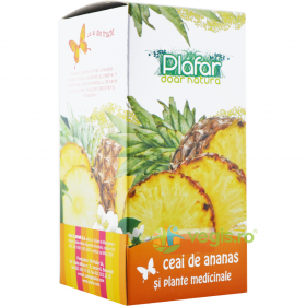 Ceai de Ananas si Plante Medicinale 20dz