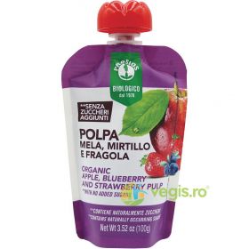 Piure de Mere, Afine si Capsuni fara Zahar Ecologic/Bio 100g